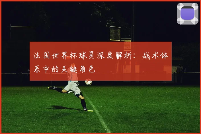 法国世界杯球员深度解析：战术体系中的关键角色