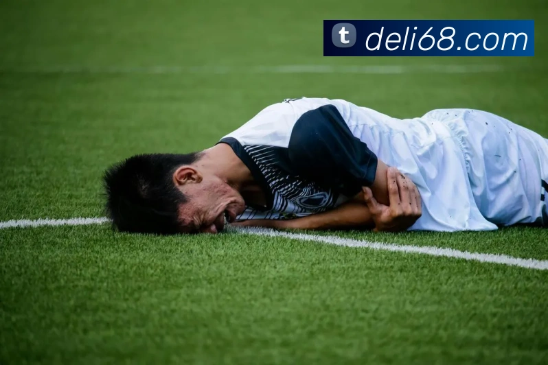 mksports在线登录入口平台生态图